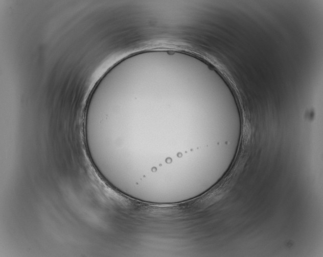 X0000115431486200911181449