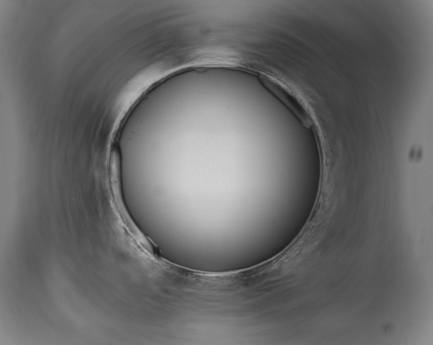 X0000115431488200911181449