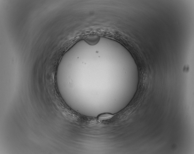 X0000115431489200911181448