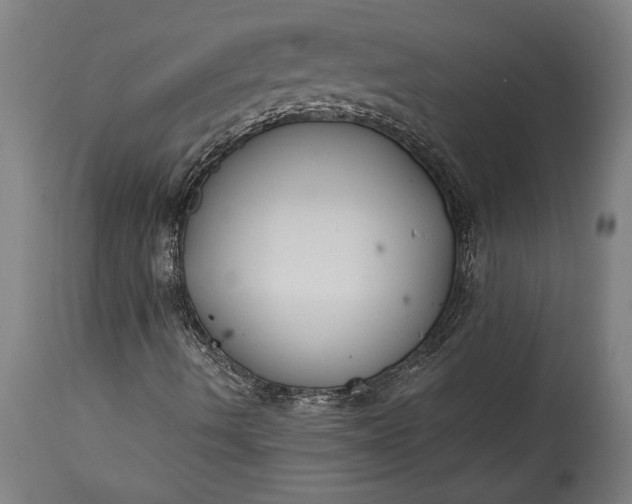 X0000115431490200911181448