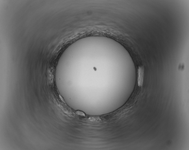 X0000115431491200911181448