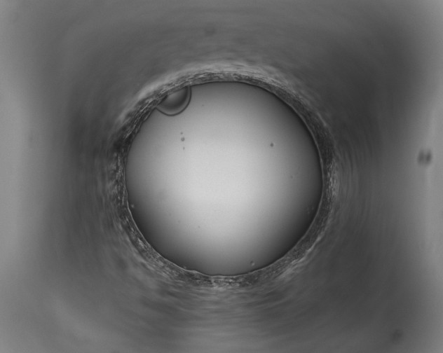 X0000115431494200911181448