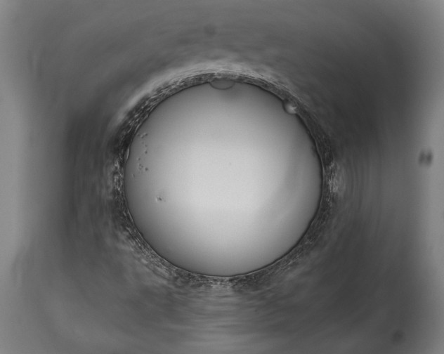 X0000115431495200911181448