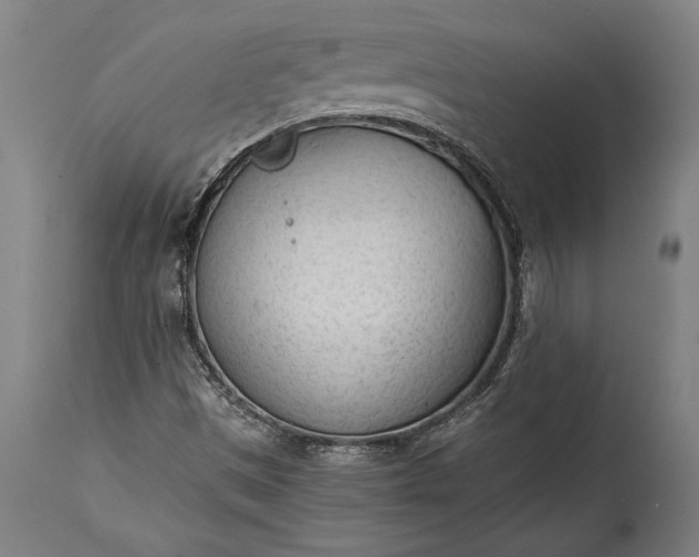 X0000115431497200911181448