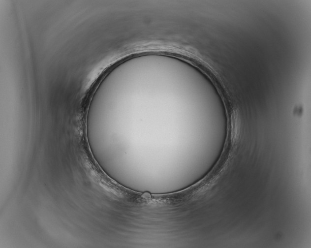 X0000115431501200911181448