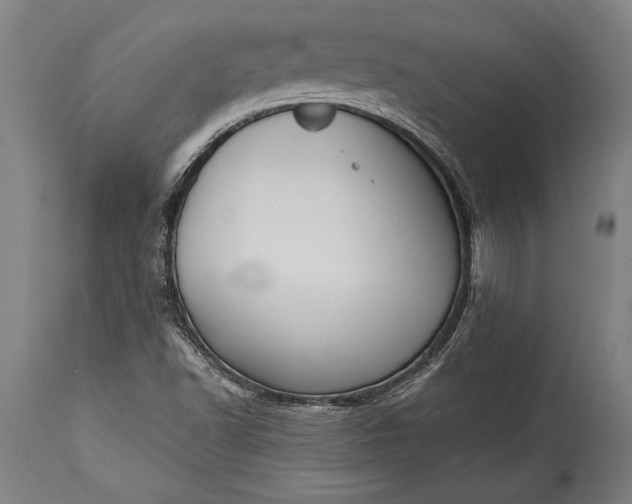 X0000115431502200911181448