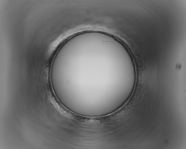 X0000115431503200911181448