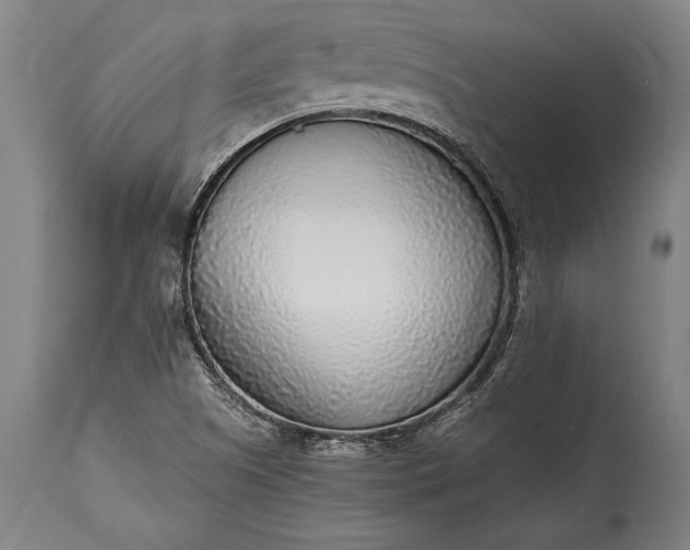 X0000115431505200911181448