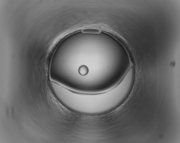 X0000115431506200911181448