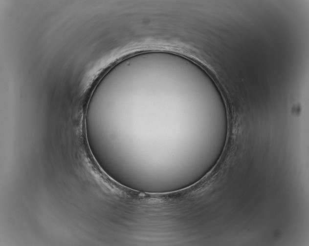 X0000115431507200911181448