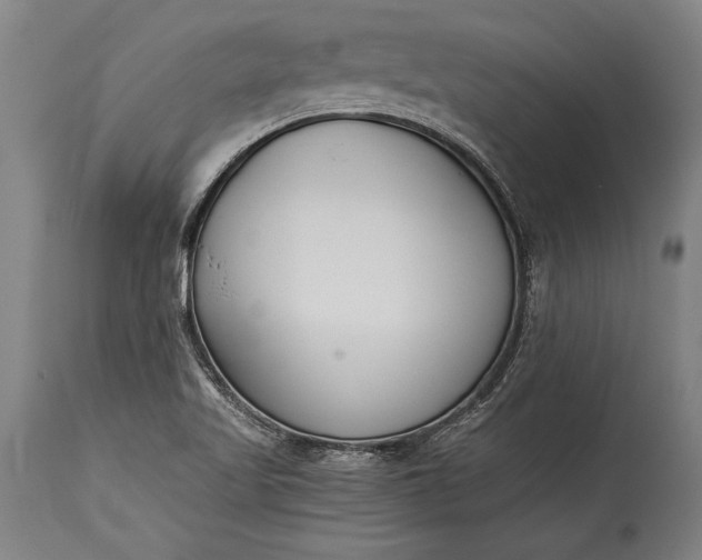 X0000115431509200911181448