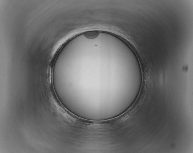 X0000115431510200911181448