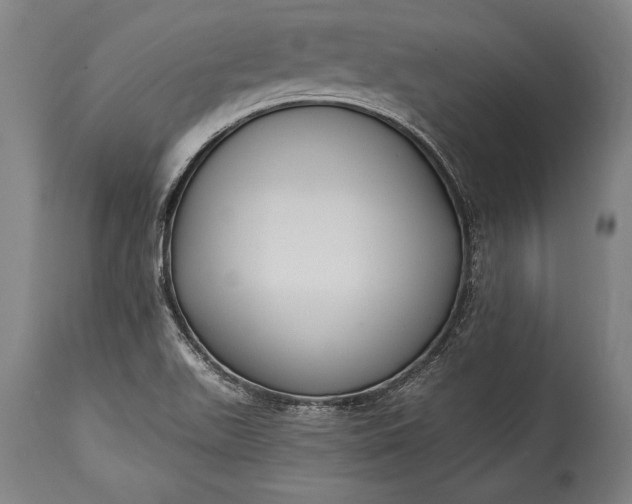 X0000115431511200911181448