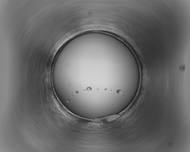 X0000115431513200911181448