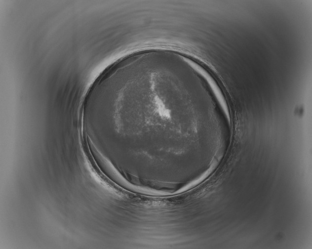 X0000115431515200911181448