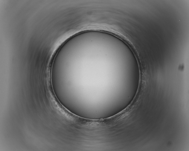 X0000115431517200911181448