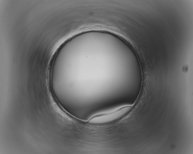 X0000115431518200911181448