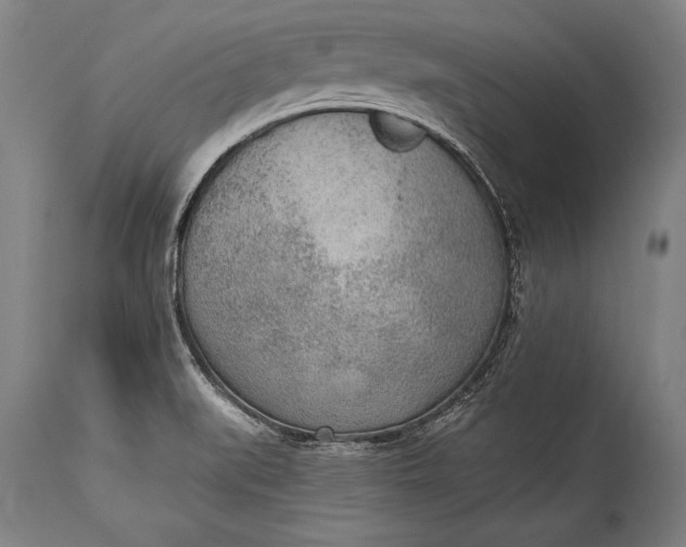 X0000115431519200911181448