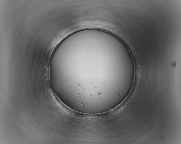 X0000115431521200911181448