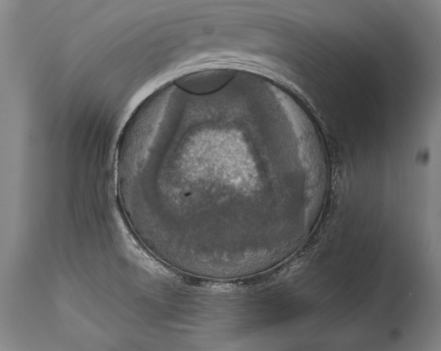 X0000115431522200911181448