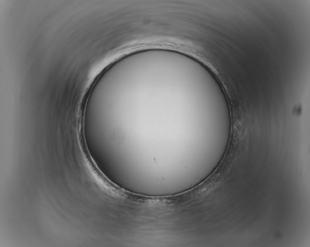 X0000115431523200911181448