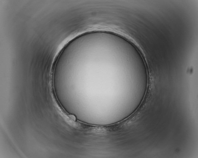 X0000115431525200911181448