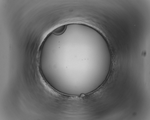 X0000115431526200911181448