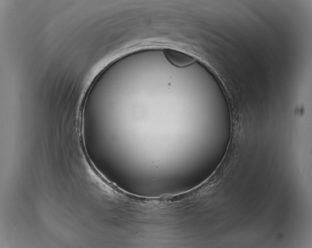 X0000115431527200911181448