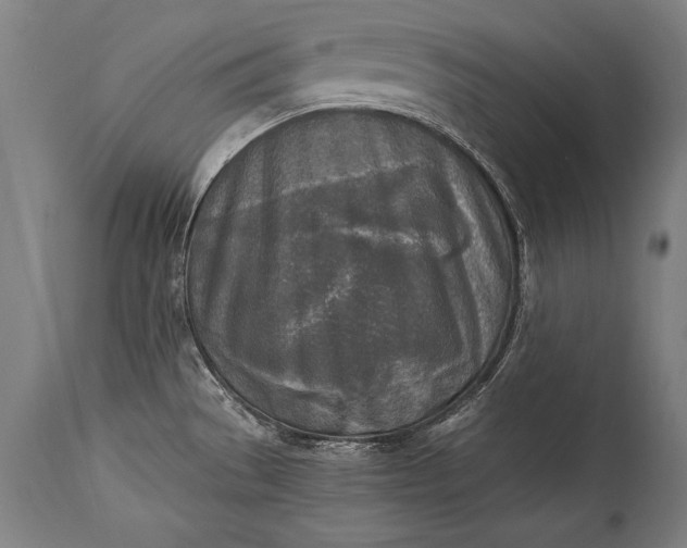 X0000115431529200911181448