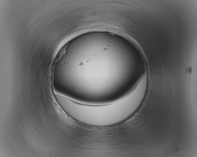 X0000115431530200911181448