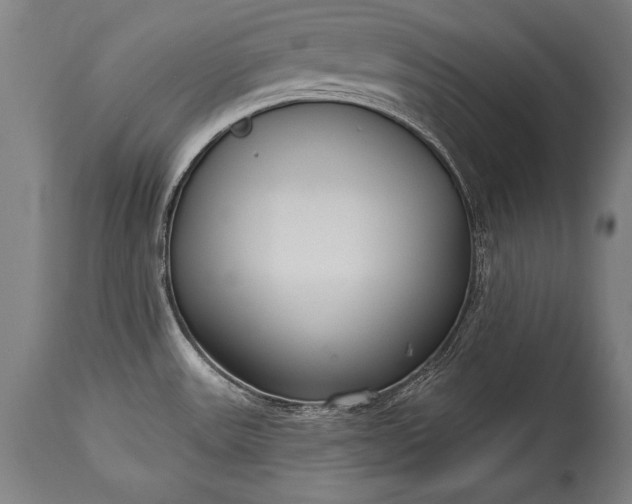 X0000115431531200911181449