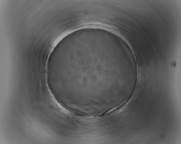 X0000115431533200911181449