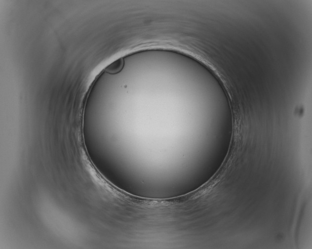 X0000115431534200911181449