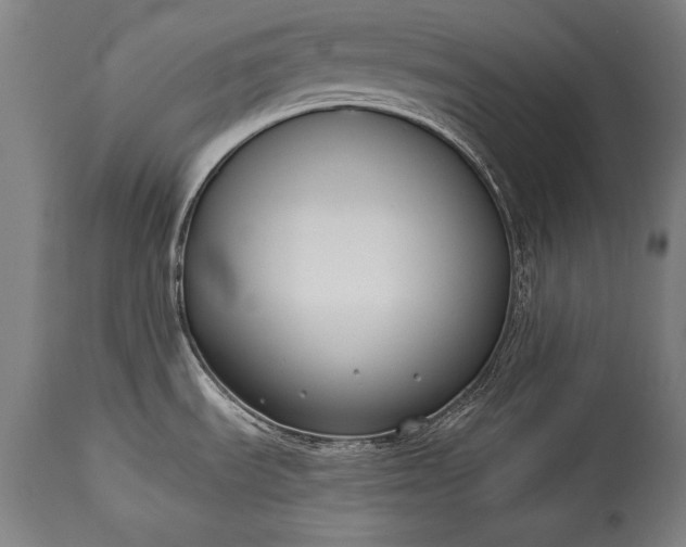 X0000115431535200911181449