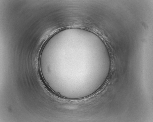 X0000115430002200911251235