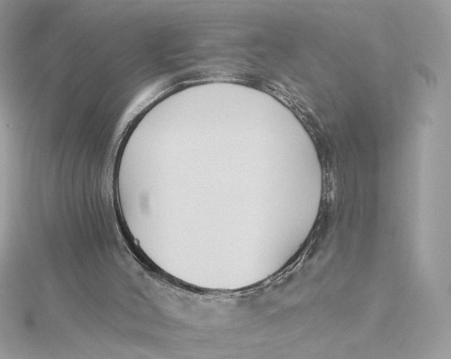 X0000115430004200911251235