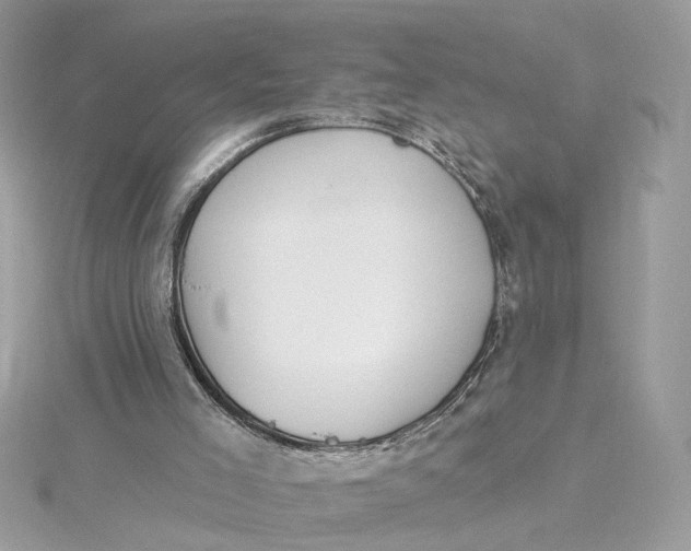 X0000115430005200911251235