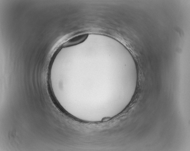 X0000115430007200911251235