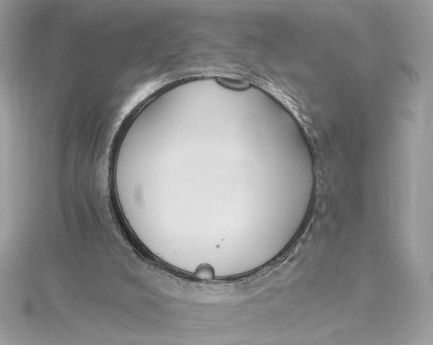 X0000115430008200911251235