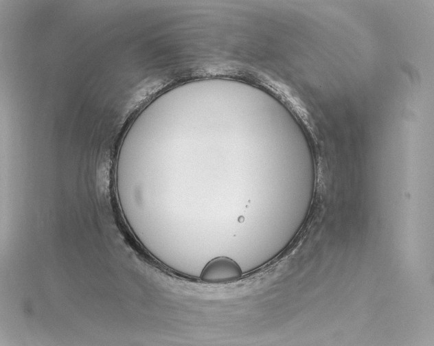 X0000115430010200911251235