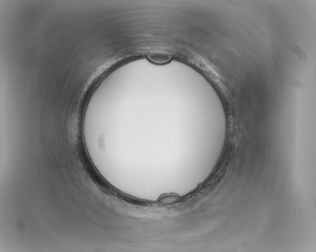 X0000115430012200911251235