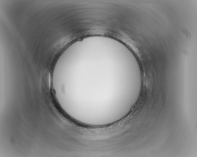 X0000115430013200911251235