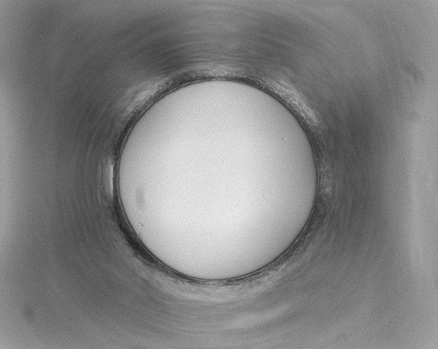 X0000115430014200911251235