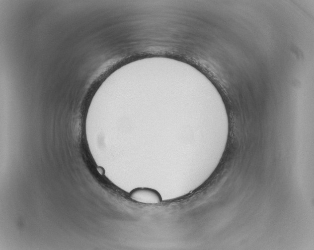 X0000115430016200911251235