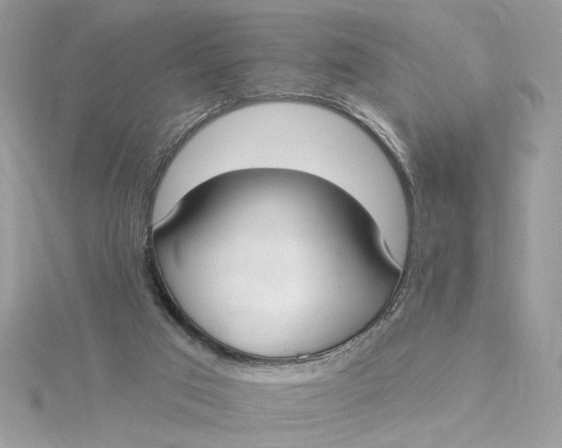 X0000115430017200911251235