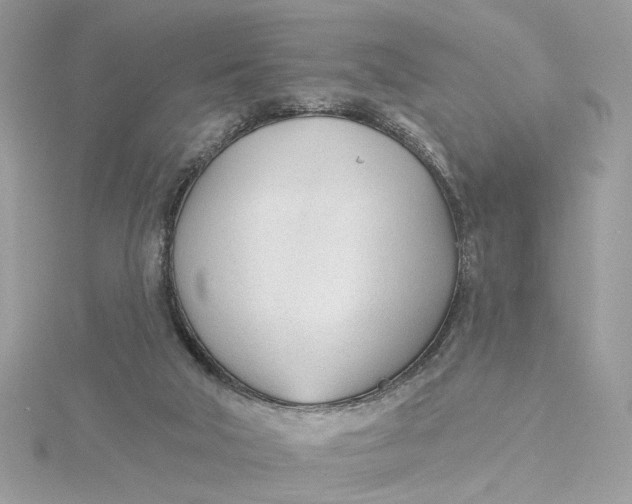 X0000115430018200911251235