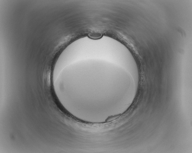 X0000115430019200911251235