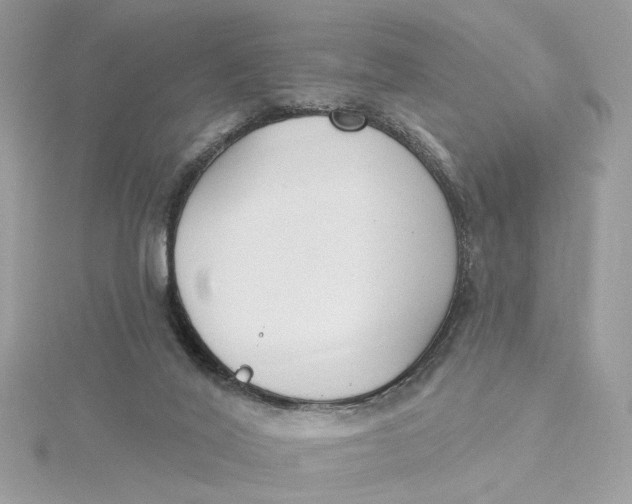 X0000115430020200911251235