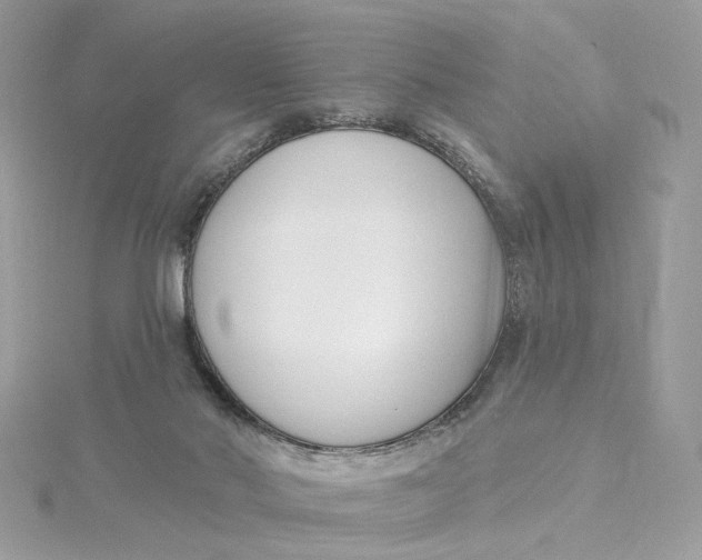 X0000115430022200911251235