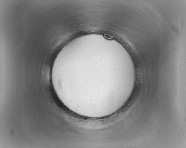 X0000115430024200911251235